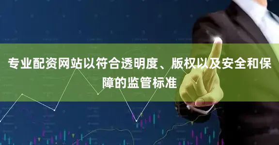 专业配资网站以符合透明度、版权以及安全和保障的监管标准