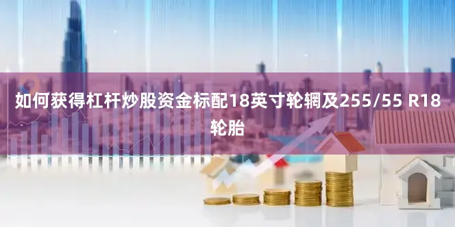 如何获得杠杆炒股资金标配18英寸轮辋及255/55 R18轮胎
