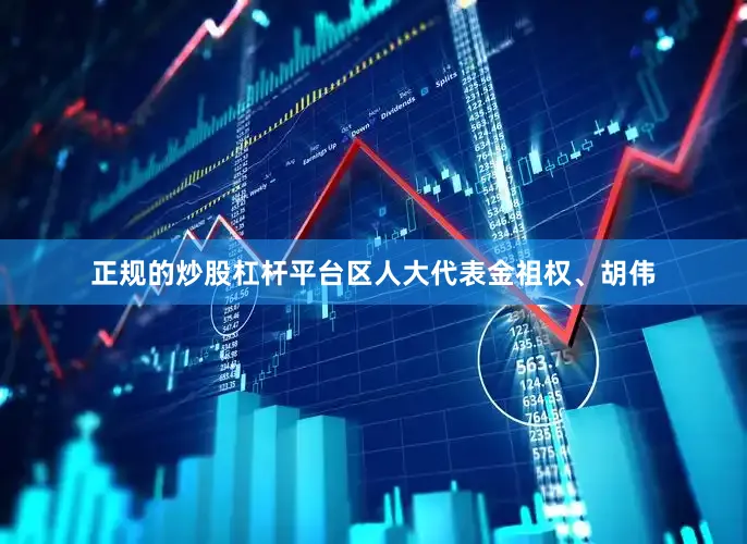 正规的炒股杠杆平台区人大代表金祖权、胡伟
