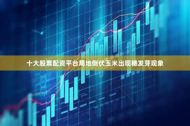 十大股票配资平台局地倒伏玉米出现穗发芽现象