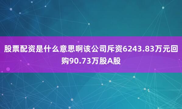 股票配资是什么意思啊该公司斥资6243.83万元回购90.73万股A股