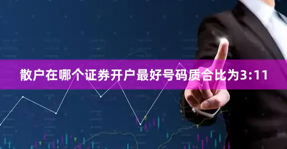 散户在哪个证券开户最好号码质合比为3:11